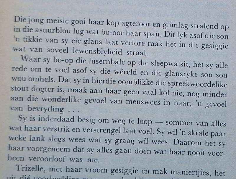 Die Vlinder van Amanzi deur Nita Griessel Hardeband