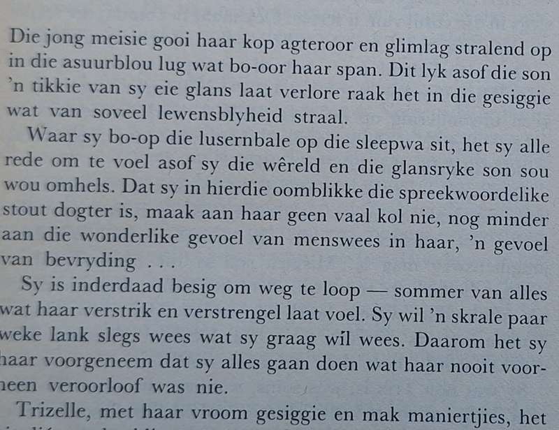 Die Vlinder van Amanzi deur Nita Griessel Hardeband