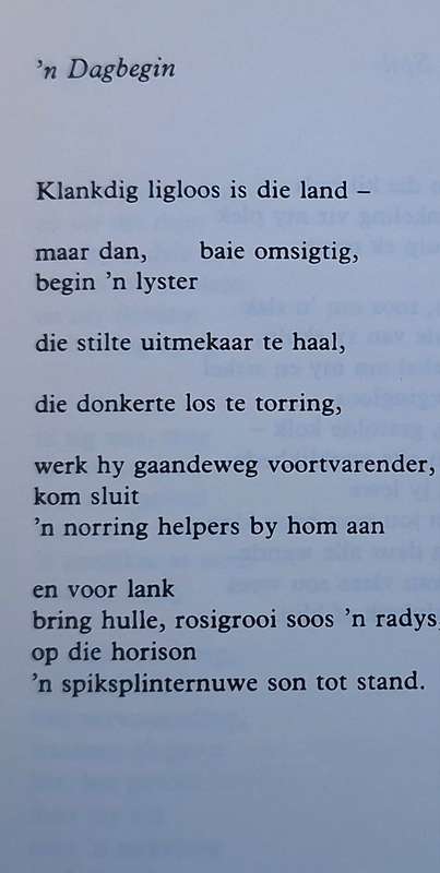 Heuningsteen deur Ina Rousseau Hardeband