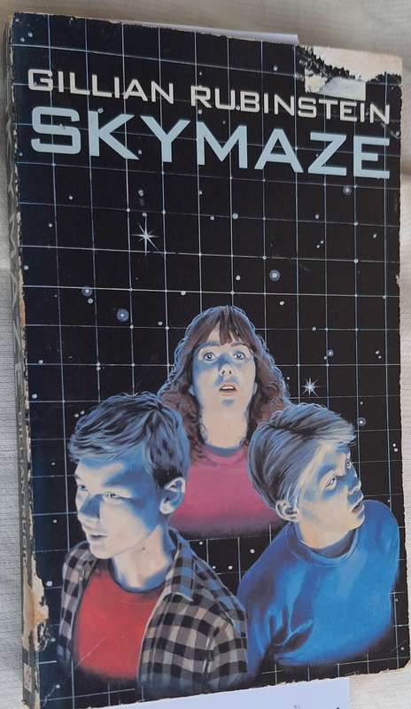 Skymaze by Gillian Rubinstein Paperback