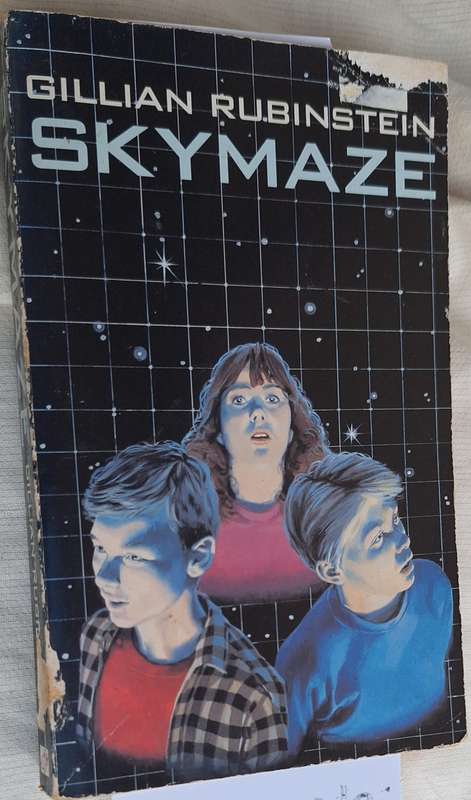 Skymaze by Gillian Rubinstein Paperback