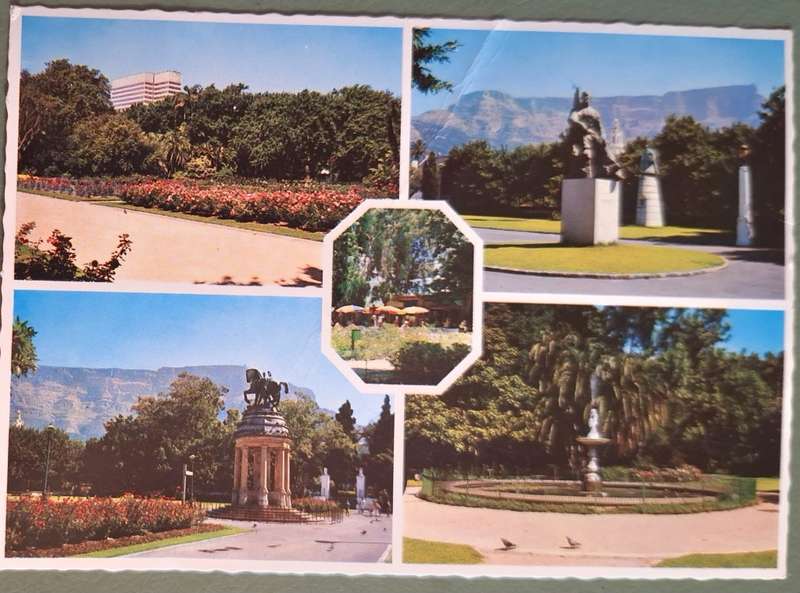 1970's Post Card of Cape Town's Public Gardens