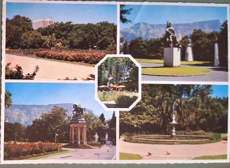1970's Post Card of Cape Town's Public Gardens
