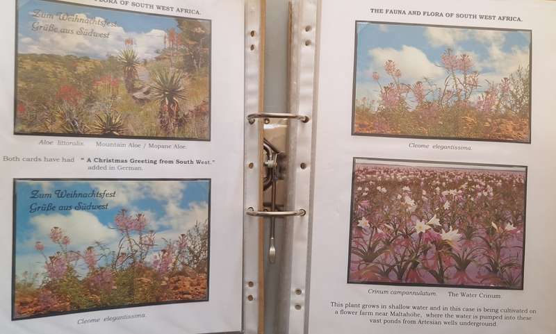 Lever Arch Folder with 111 Post cards of South West Africa