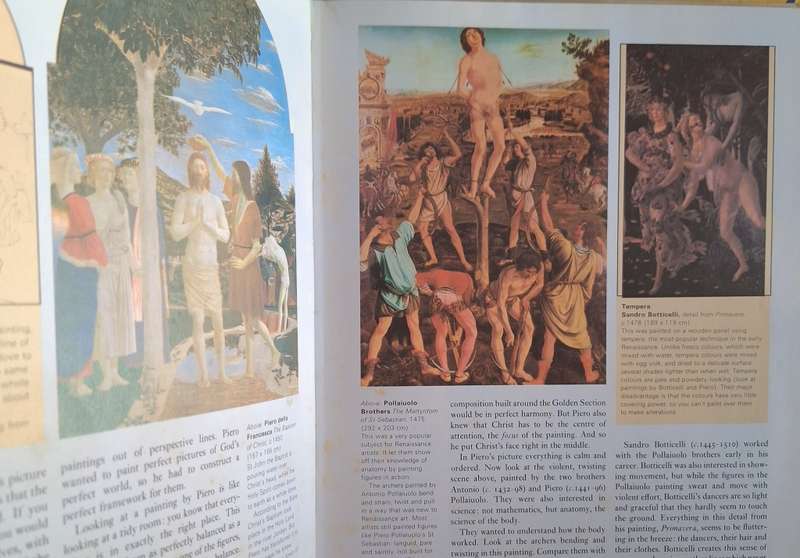 Understanding Art by Waldemar Janusczak and Jenny Mc Cleery Hardcover