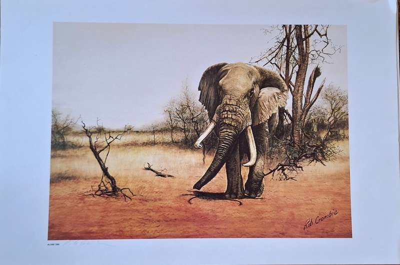 Unframed Signed Print Alone 1986 (Elephant) by Rob Crombie