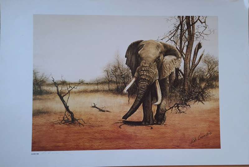Unframed Signed Print Alone 1986 (Elephant) by Rob Crombie