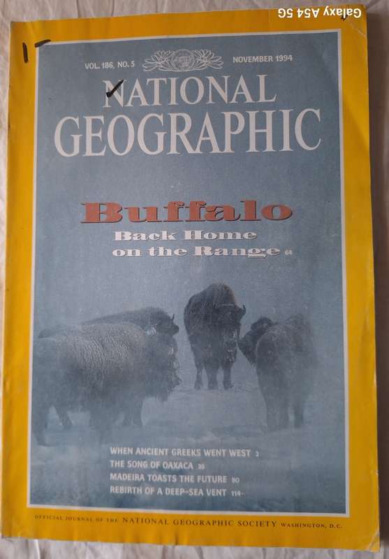 National Geographic November 1994 Buffalo: Back Home on the Range