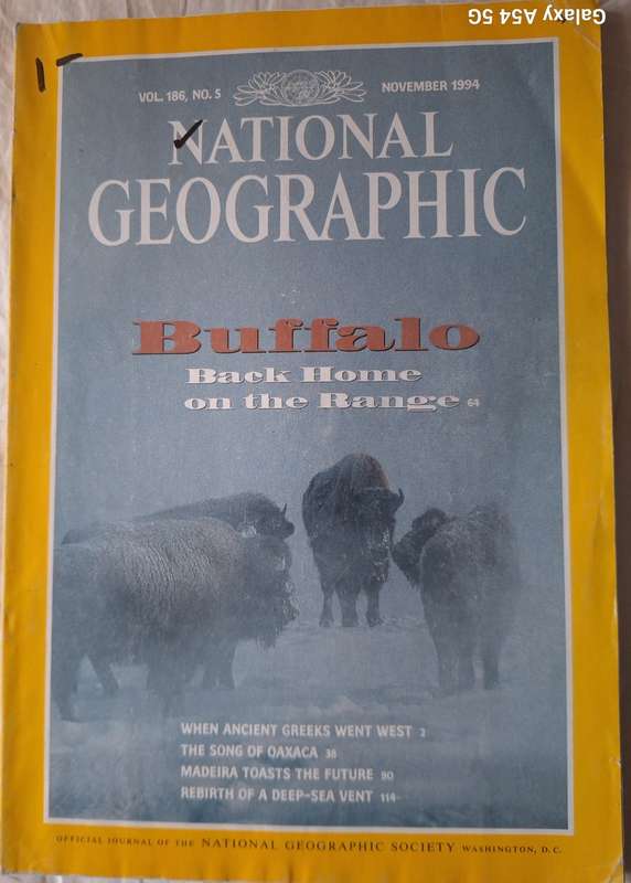 National Geographic November 1994 Buffalo: Back Home on the Range