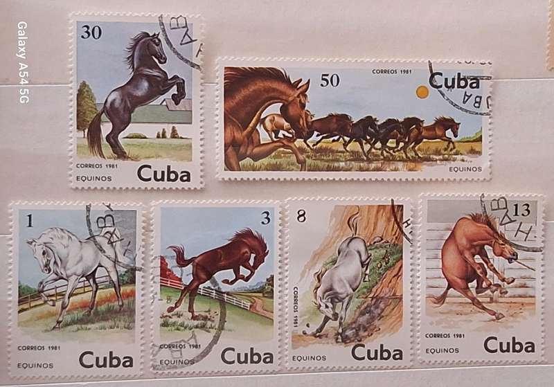 Cuba 1981 Horses  Set of 6 Cancelled Hinged stamps