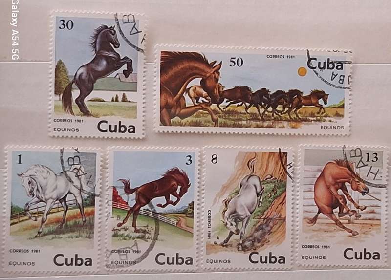 Cuba 1981 Horses  Set of 6 Cancelled Hinged stamps