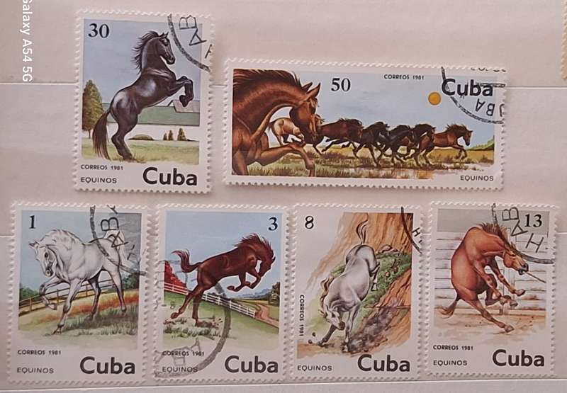 Cuba 1981 Horses  Set of 6 Cancelled Hinged stamps