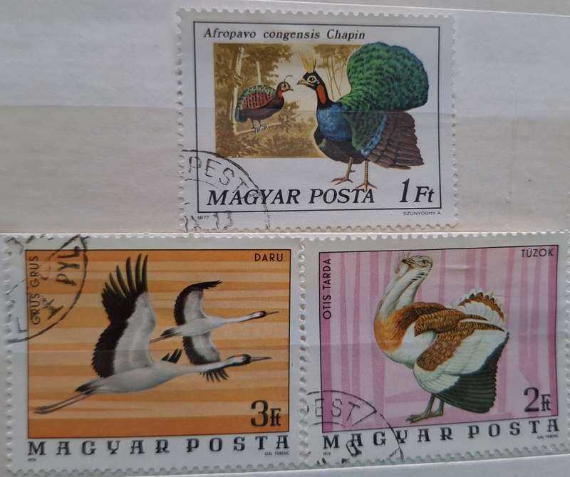 Hungary Theme: Birds 3 Used Hinged stamps