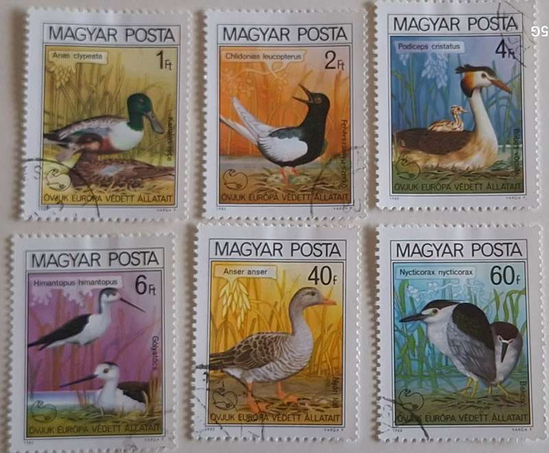 Hungary 1980 Marine Birds Set of 6 Cancelled Hinged stamps