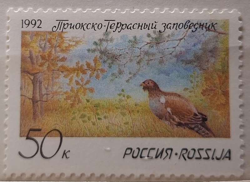 Russia Soviet Union 1992 Western Capercaillie Nature Reserve 1 Mint stamp