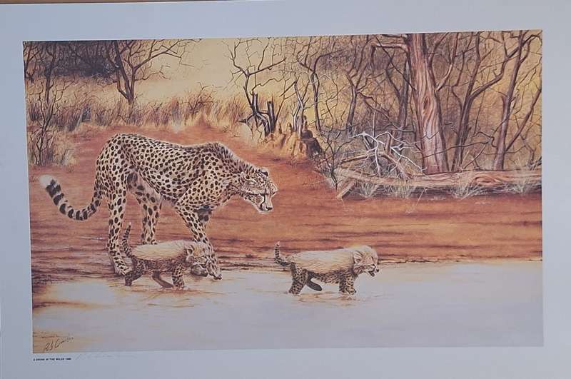 Unframed Signed Print A Drink in the Wilds 1986 (Cheetah) by Rob Crombie