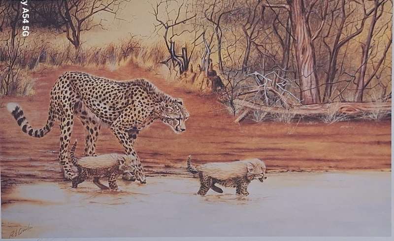 Unframed Signed Print A Drink in the Wilds 1986 (Cheetah) by Rob Crombie
