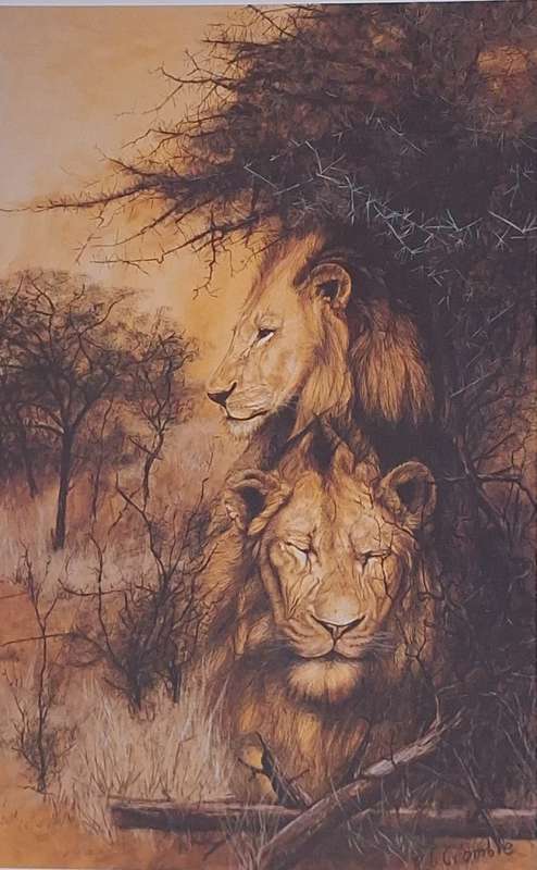 Unframed Signed Print Bushveld Watch 1986 (Lion) by Rob Crombie