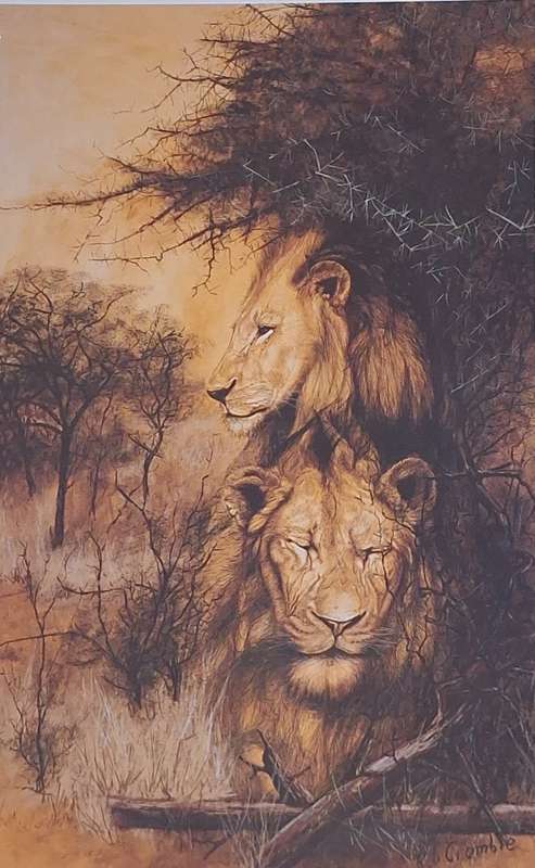 Unframed Signed Print Bushveld Watch 1986 (Lion) by Rob Crombie