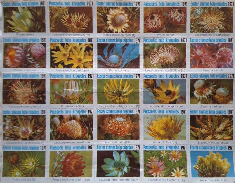 South Africa Charity Stamps Easter 1971 Sheet of 25 Unused stamps