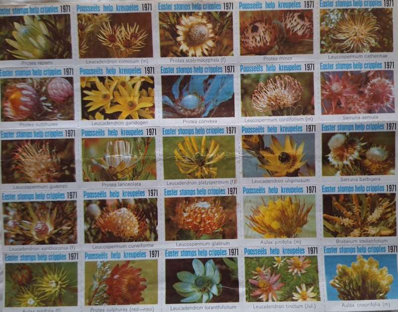 South Africa Charity Stamps Easter 1971 Sheet of 25 Unused stamps