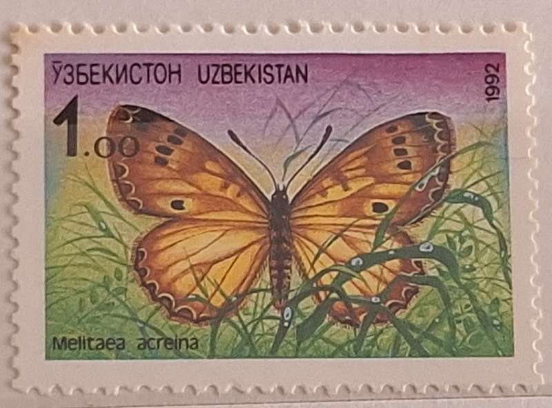 Uzbekistan 1992 Butterfly (Melitaea Acreina) 1 Mint stamp