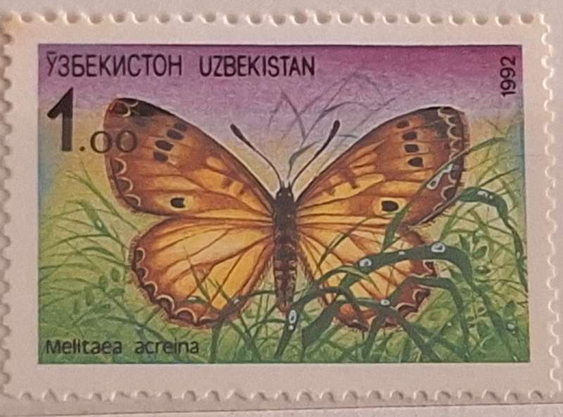 Uzbekistan 1992 Butterfly (Melitaea Acreina) 1 Mint stamp