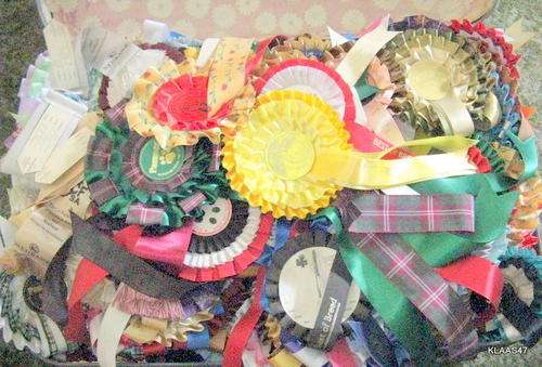 ROSETTES : OVER 200 : FROM CAT SHOWS