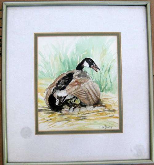 DUCK & DUCKLINGS : WATERCOLOUR BY RIA HOLLIDAY : FRAMED SIZE - 31.5x34.5cm
