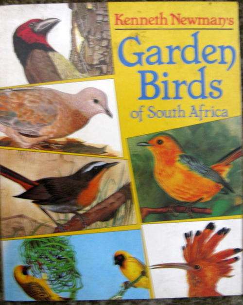 Garden Birds of South Africa  by Kenneth Newman paperback  1988