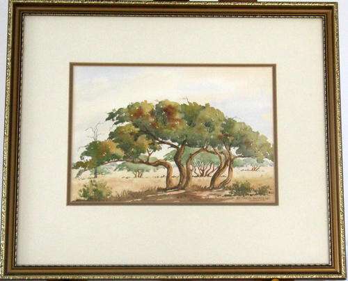 FRAMED WATERCOLOUR of TREES by GERHARD OLIVIER