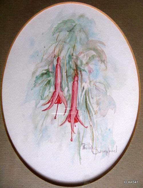 PHILLIP SWANEPOEL : WATERCOLOUR : FLOWERS : FRAMED