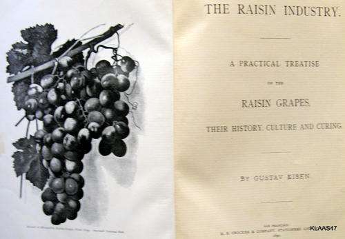 The Raisin Industry - Gustav Eisen - Hardcover 1890