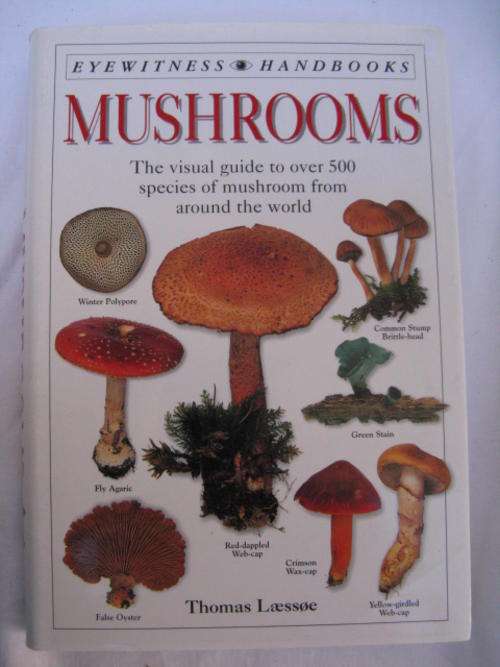 MUSHROOMS PAPERBACK  THE  VISUAL GUIDE TO OVER 500 SPECIES OF MUSHROOM FROM AROUND THE  WORLD