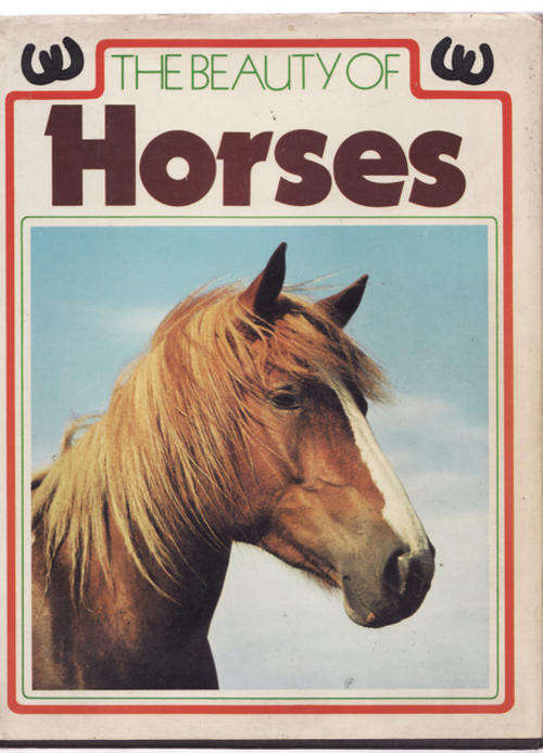 HORSES THE BEAUTY BY PETER  ROBERTS  HARDCOVER  SPINE OF THE BOOK HAS GONE  BROWN