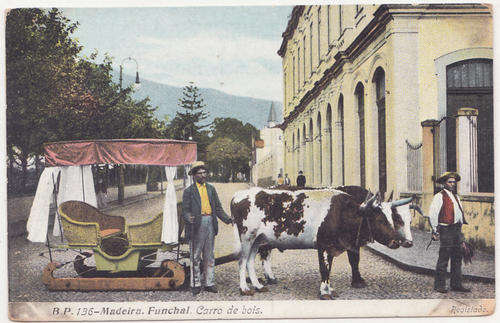B.P. 136 : MADEIRA. FUNCHAL. CARRO DE BOIS. :  UNION POSTALE UNIVERSELLE : NOT POSTAL USED