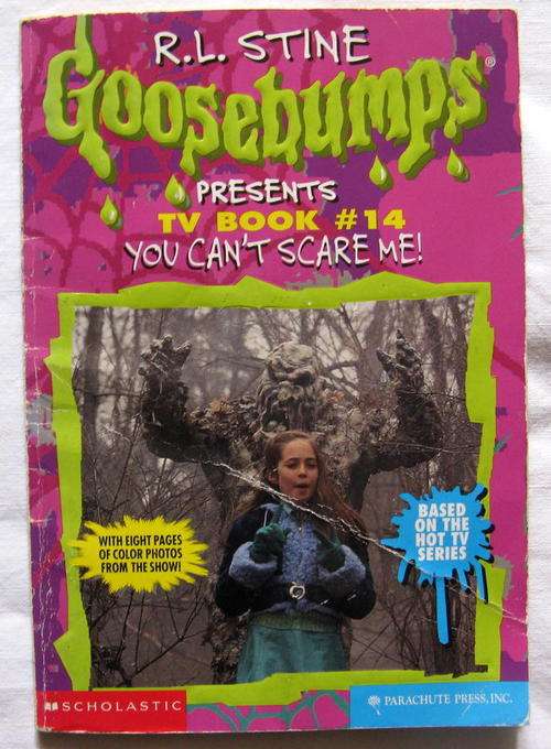 GOOSEBUMPS  BY R L STINE PRESENTS TV BOOK 14  YOU CAN'T SCARE ME