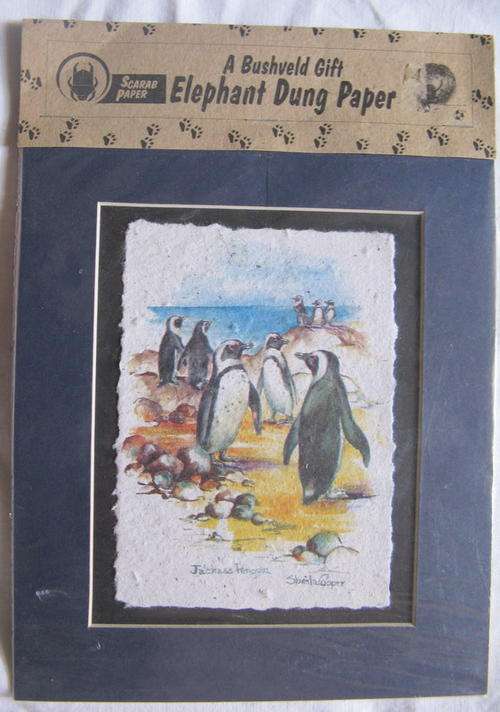 SHEILA COOPER :JACKASS PENGUIN :  MOUNTED PRINT ON SCARAB PAPER (ELEPHANT DUNG PAPER) : 17 x 21cm :