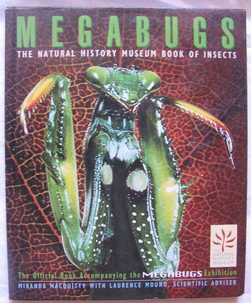 The Natural History Museum Book Of Insects: Mega Bugs - Miranda Macquitty with Laurence Mound