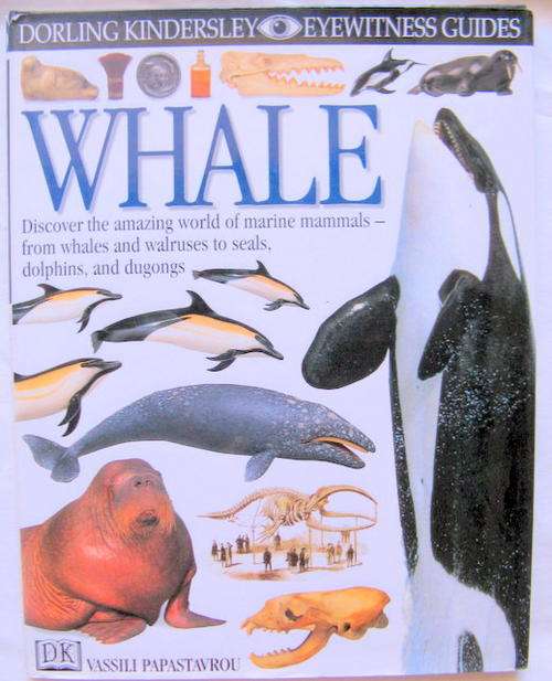Dorling Kindersley Eyewitness Guides: Whale - Vassili Papastavrou - Hardcover