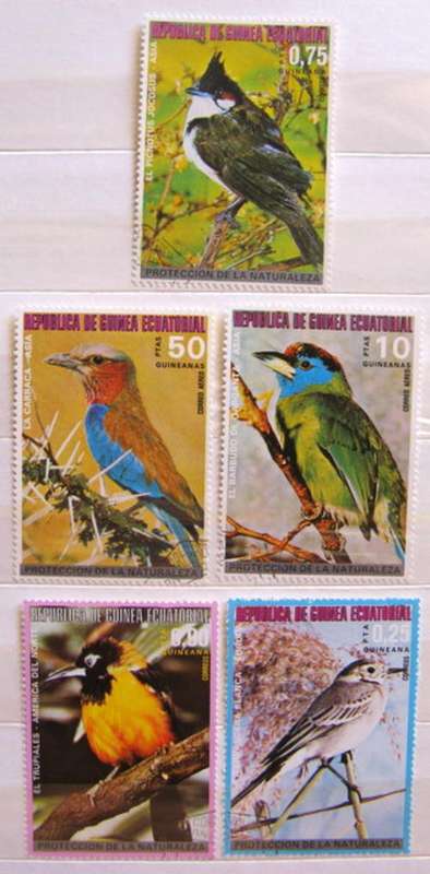 EQUATORIAL GUINEA : 5 USED POSTAGE STAMPS : BIRDS : DISPLAY PAGE NOT INCLUDED