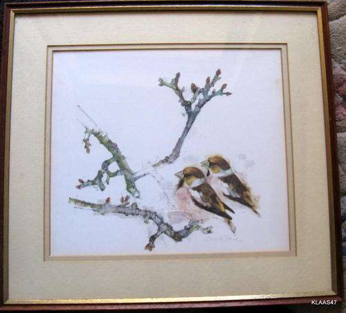 MADS STAGE : DANISH WATERCOLOUR BIRDS SERIES : FRAMED :  FRAMED SIZE - 38.5x35.5cm **PRINT**