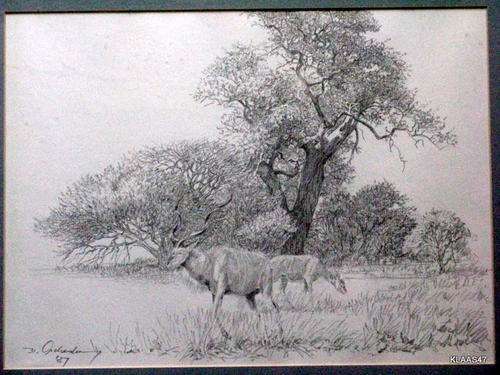 Framed Print Pencil Sketch Landscape with Buck