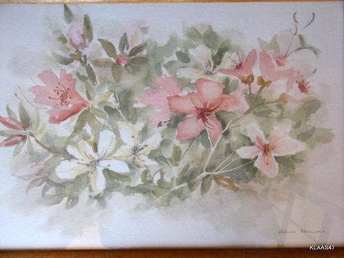 FRAMED WATERCOLOUR of FLOWERS by DIANA SEYMOUR