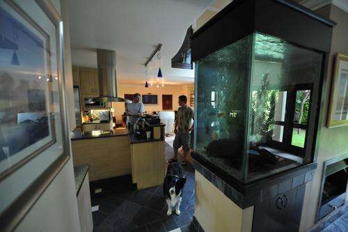 Aquarium (Professional)
