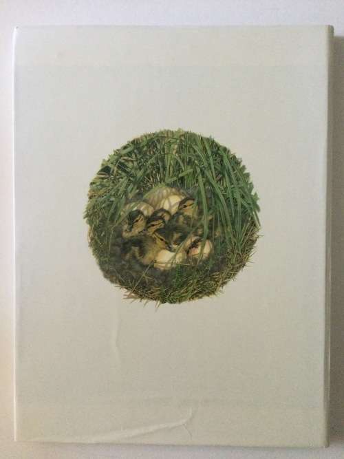 Ducks Of Sub-Saharan Africa, Gordon Lindsay Maclean and Gail Darroll, 1986