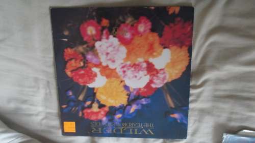 The Teardrops Explodes - Wilder