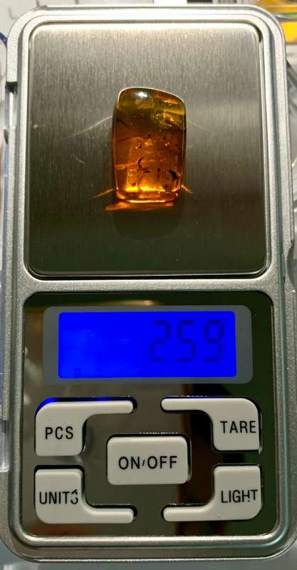Authentic Insect Amber No.20212