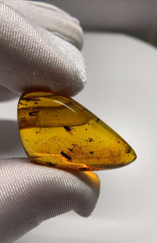 Authentic Insect Amber No.20215