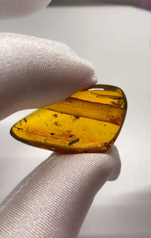 Authentic Insect Amber No.20215